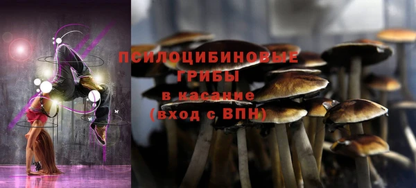 соль курить ск Новодвинск