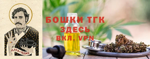 шишки Нягань