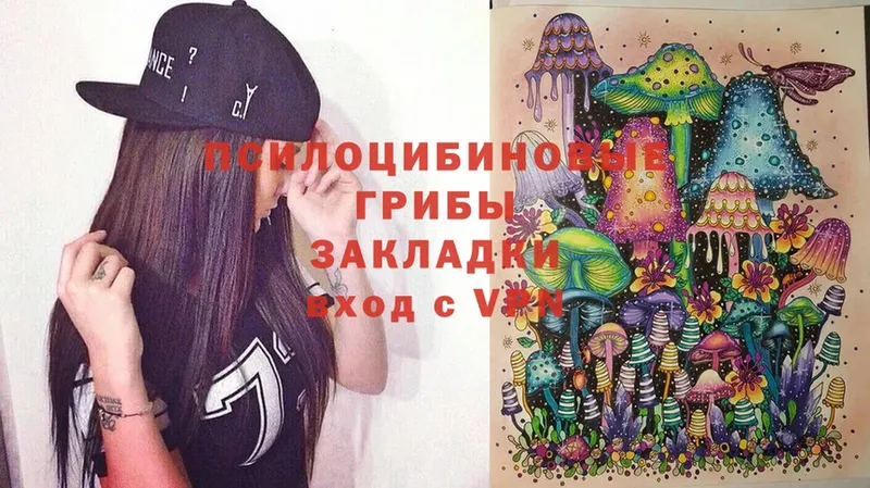 Псилоцибиновые грибы MAGIC MUSHROOMS  Кириллов 