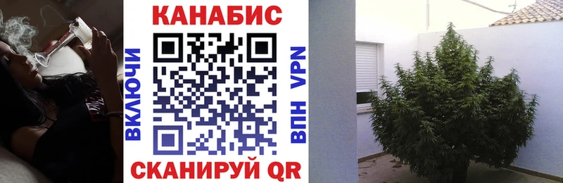МАРИХУАНА Ganja  хочу наркоту  Кириллов 